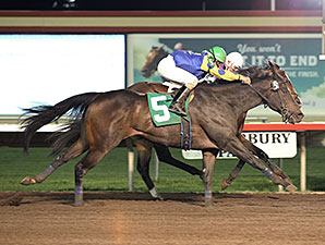 Speakfromyourheart wins the 2014 10,000 Lakes Stakes.