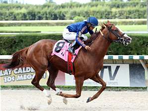 Spectacular Sky wins the 2012 Whippleton Stakes.