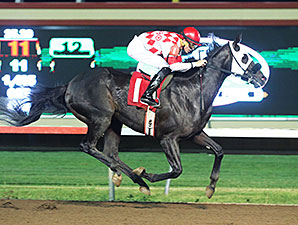 Speed Is Life wins the 2014 Minnesota Derby.