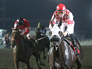 Speed Is Life wins the 2014 Minnesota Derby.