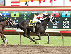 Speed Is Life wins the 2014 Victor S. Myers Stakes.
