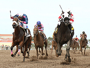Speed Is Life wins the 2014 Victor S. Myers Stakes.