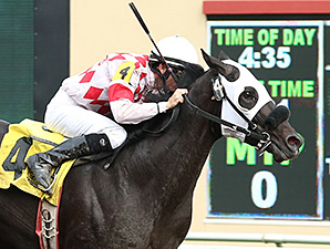 Speed Is Life wins the 2014 Victor S. Myers Stakes.
