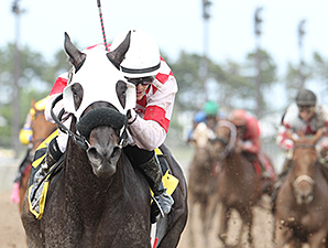 Speed Is Life wins the 2014 Victor S. Myers Stakes.
