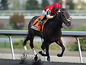 Speightsong wins the 2014 Queenston Stakes.