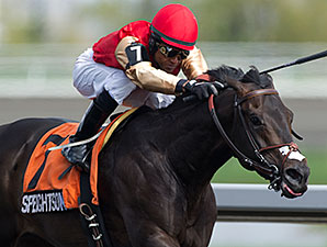 Speightsong wins the 2014 Queenston Stakes.