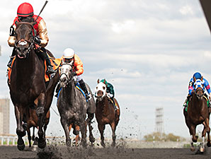 Speightsong wins the 2014 Queenston Stakes.