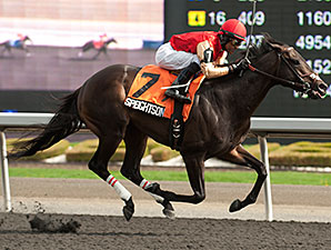 Speightsong wins the 2014 Queenston Stakes.