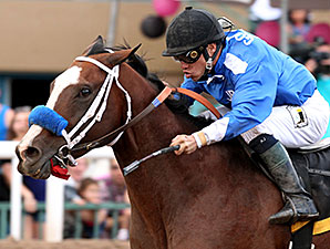 Spinning Touch wins the 2013 Lineage Stakes