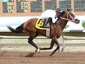 Spinning Touch wins the 2012 Lineage Stakes.