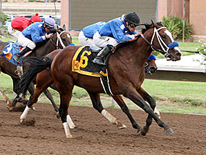 Spinning Touch wins the 2013 Lineage Stakes