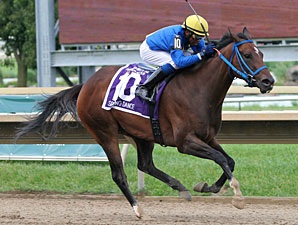 Spring Dance wins the 2012 Dr. Teresa Garofalo Memorial.