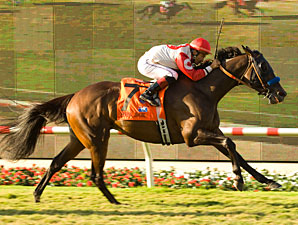 Hollywood Meet Closes With Four-Horse Sunset Hollywood Meet Closes With Four-Horse Sunset