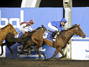 Spring of Fame wins the 2012 Dubal Casthouse Trophy.