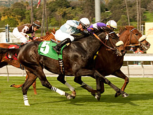 Spring Style wins the 2011 Robert J. Frankel Stakes.