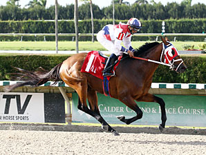 Sr. Quisqueyano wins the 2013 Calder Derby.