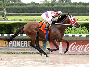 Sr. Quisqueyano wins the 2012 Seacliff.