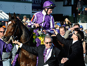 St Nicholas Abbey in the 2011 Breeders' Cup Turf.