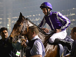 St Nicholas Abbey wins the 2013 Dubai Sheema Classic.