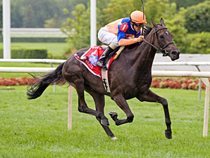 Stacelita wins the 2011 Beverly D.