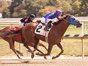 Standup Comic wins a Claiming Race at Laurel Park on September 17, 2014.