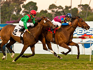 Star Billing wins the 2011 Matriarch.