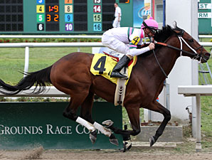 Star Guitar wins the 2011 Costa Rising Stakes.