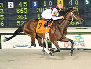 Star Guitars wins the 2010 Premier Night Championship.
