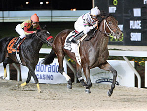 Super Saturday at Fair Grounds Gets Boost