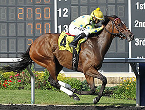 Star Pearl wins the Northern Fling Stakes.