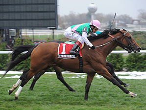 Starformer wins the 2012 Long Island Handicap.