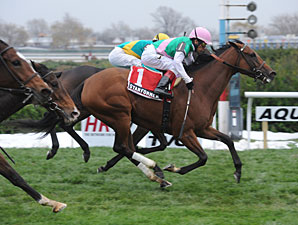 Starformer wins the 2012 Long Island Handicap.