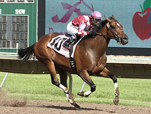 Starlite Starbrite wins the 2012 Hoist Her Flag Stakes.
