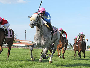 Starry Eyed Kate wins the 2013 Minnesota HBPA Distaff.