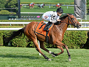 Stars Above Me wins the 2014 Coronation Cup Stakes.