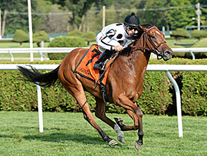 Stars Above Me wins the 2014 Coronation Cup Stakes.