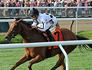 Stars Above Me wins the 2014 Coronation Cup Stakes.