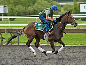 Stars to Shine - Arlington Park, August 16, 2012.