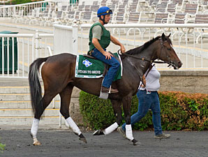 Stars to Shine - Arlington Park, August 16, 2012.