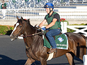 Stars to Shine - Arlington Park, August 17, 2012.