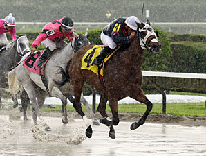 Starship Truffles wins the 2013 Musical Romance.