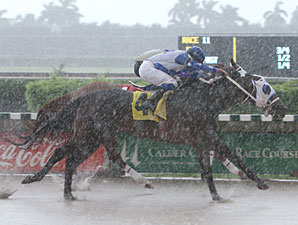 Starship Valor wins the 2010 Champali.