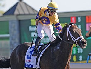 Stately Victor wins the 2010 Bluegrass.