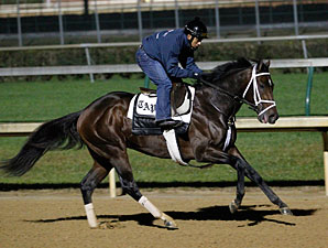 Stay Thirsty - Churchill Downs, Oct 28, 2011.