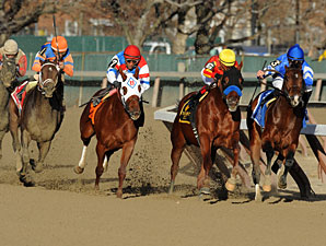 Stay Thirsty wins the 2012 Cigar Mile.