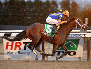 Stay Thirsty wins the 2011 Gotham.