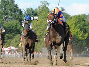 Stay Thirsty wins the 2011 Jim Dandy.