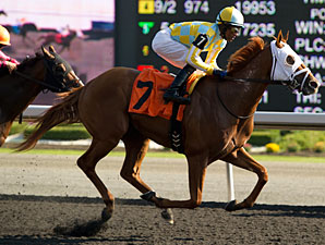 Stealcase wins the 2012 Ontario Derby.
