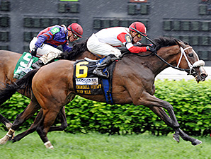Stephanie's Kitten wins the Distaff Mile.