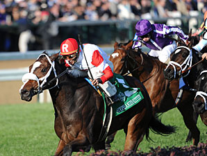 Stephanie's Kitten wins the 2011 Breeders' Cup Juvenile Fillies Turf.